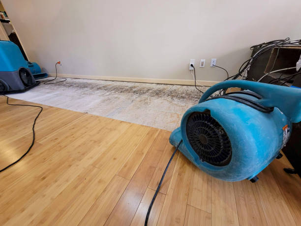 Professional Structural Drying technician working in Santa Cruz, CA